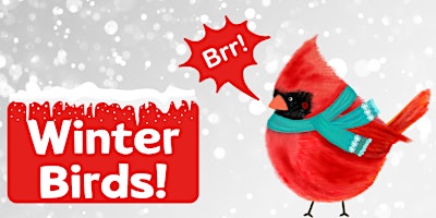 Winter Birds! (Kids of All Ages)