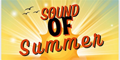 S.O.S.: Sounds Of Summer primary image