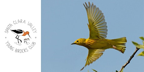 Young Birders Club: Vasona Lake