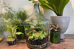 Imagem principal do evento Terrarium Workshop