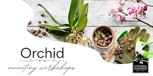 Imagem principal de Orchid Mounting Workshop