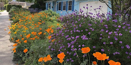 Intro to California Native Plant Garden Design with Tim Becker primary image