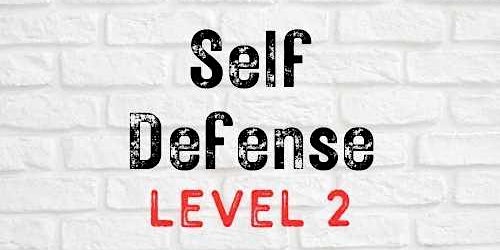 Primaire afbeelding van Self Defense Level 2