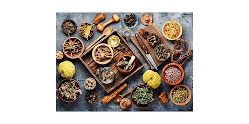 Imagen principal de Introduction to Herbalism