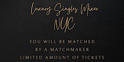 Luxury Matchmaker's Singles Mixer primary image