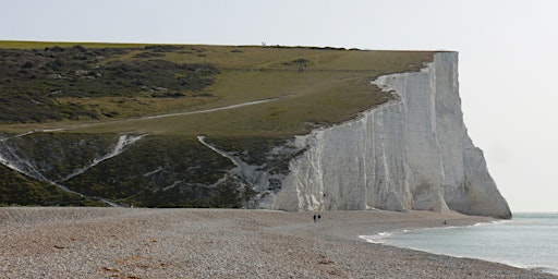 The Friston Forest, Cuckmere Haven and the most stunning sea views primary image