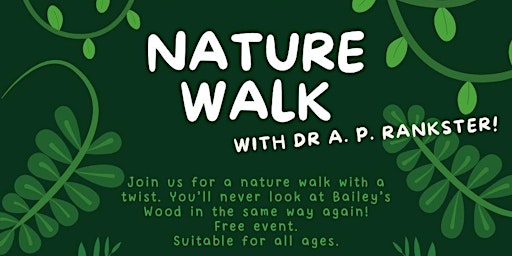 Imagem principal de Nature Walk in the Woods