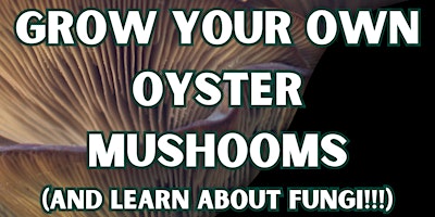 Imagem principal do evento Grow Your Own Oyster Mushrooms and Learn about Fungi!