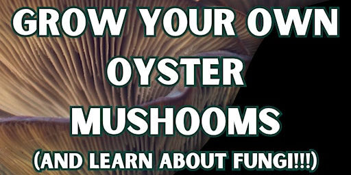 Primaire afbeelding van Grow Your Own Oyster Mushrooms and Learn about Fungi!