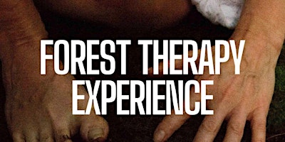Image principale de Forest Therapy Experience