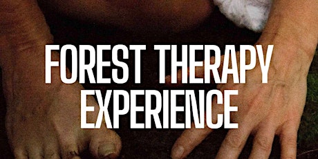 Forest Therapy Experience