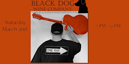 Live Music at Black Dog Wine Company from One Ray primary image