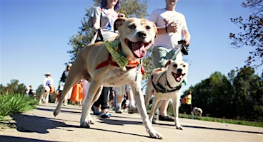 Run for a pawsome cause with Paws on the Run!  primärbild