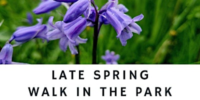 Primaire afbeelding van Late Spring Walk in the Park