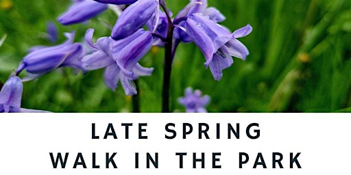 Immagine principale di Late Spring Walk in the Park 