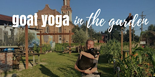 Imagen principal de Baby Goat Yoga @ Paradigm Gardens