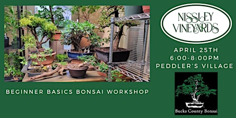 Beginner Basic Bonsai Workshop at Peddlers Village
