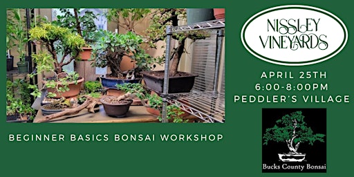 Imagem principal de Beginner Basic Bonsai Workshop at Peddlers Village