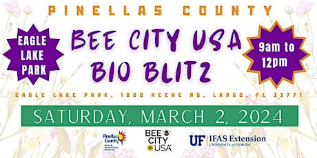 Pinellas County Bee City USA 2024 BioBlitz! primary image