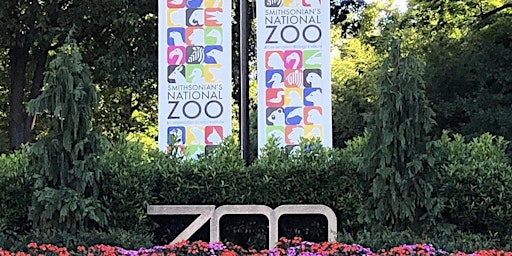 Hauptbild für Summer 2024 - Washington, DC National Zoo