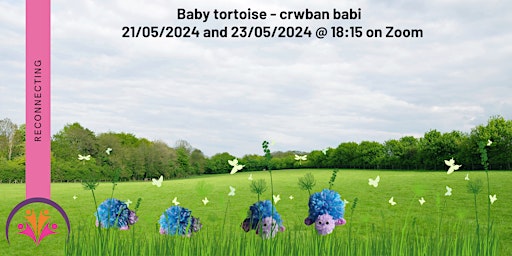Baby tortoise - crwban babi  primärbild