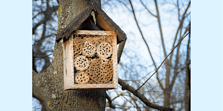 Celebrate Earth Day! Build a Bug Hotel!