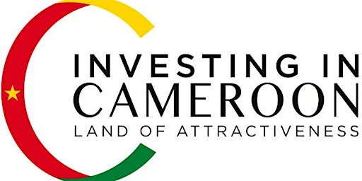 Cameroon Youth Investment Forum (CYIF) primary image