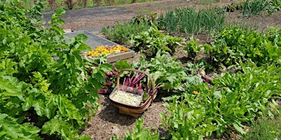 Organic Gardening Course primary image