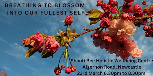 Primaire afbeelding van CCB Breathwork - Breathing to Blossom into our Fullest Self