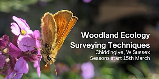 Imagem principal do evento Woodland Ecology Surveying Techniques