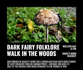 Dark Fairy Folklore Walk in the Woods
