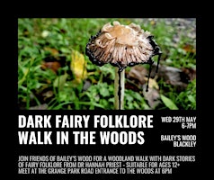 Dark Fairy Folklore Walk in the Woods  primärbild