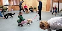 Primaire afbeelding van 6 Week Dog Training Course 18th April 2024  6.30pm Sherwood
