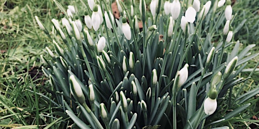 Hauptbild für Spring time! Woodland Playgroup - Lewes Railway Lands