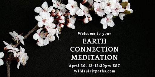 Immagine principale di Earth Connection Meditation: Guided Meditation, Practices & Poetry 