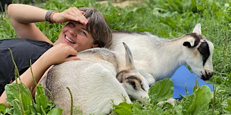 Goat Yoga