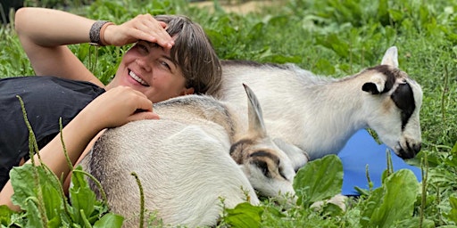 Goat Yoga primary image