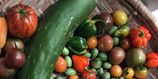 Backyard Garden Launch: Hands-on Vegetable Growing Workshop  primärbild