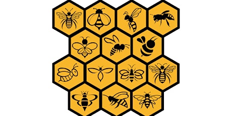 Basic Introduction To Beekeeping - What you need to know before you start. primary image