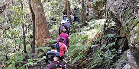 Hauptbild für Nature Walk and Bushcare