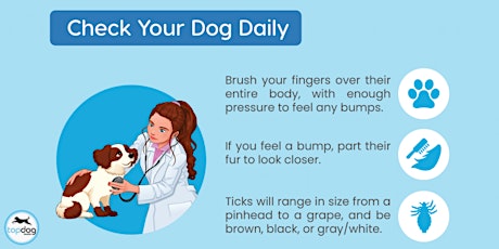 Check your pet's health daily