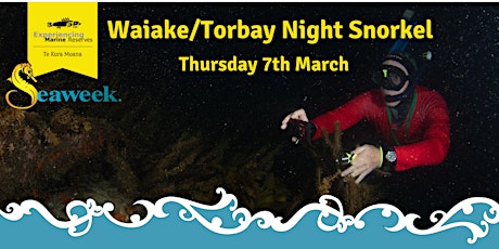 Waiake/Torbay Night Snorkel primary image