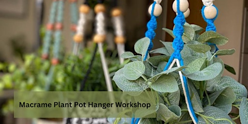 Imagem principal de Macrame Plant Hanger Workshop