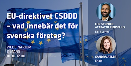 EU-direktivet CSDDD – vad innebär det för svenska företag?  primärbild