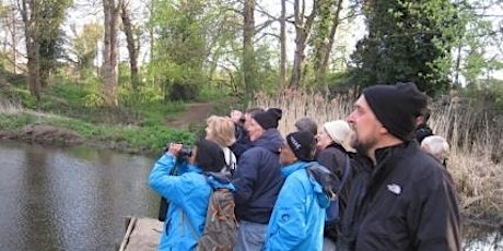 Celebration of the Dawn Chorus; a stroll along the River Crane