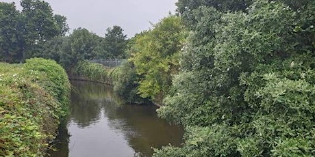 River Restoration on River Crane - a river walk