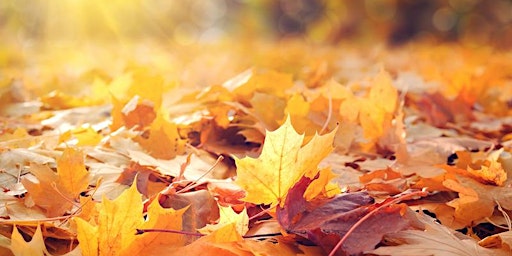 Hauptbild für Herbstfest - Zeit der Ernte und des Rückzugs