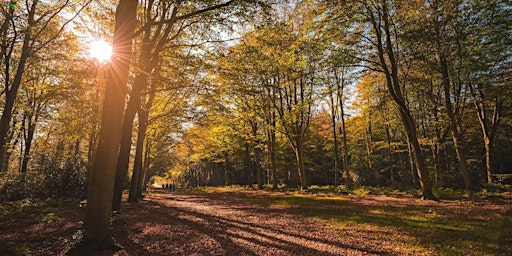 Norfolk Netwalking @ Felbrigg Hall primary image