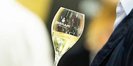 Un brindisi Ferrari in Triennale Milano durante la Milano Wine Week