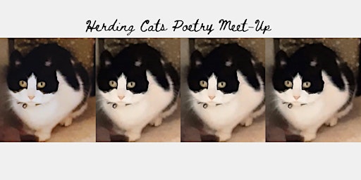 Hauptbild für Herding Cats poetry meet-up  25th April 2024